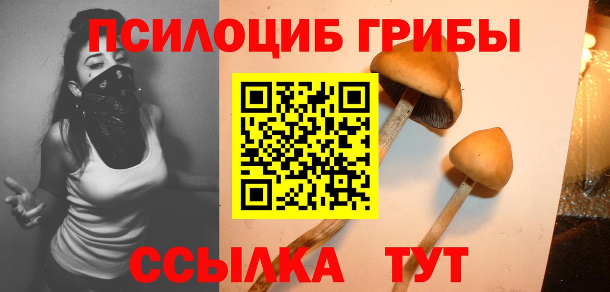 Псилоцибиновые грибы Psilocybine cubensis  Вход с VPN  Белгород  Псилоцибиновые грибы ЛСД 